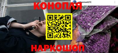 прущие грибы Рузаевка