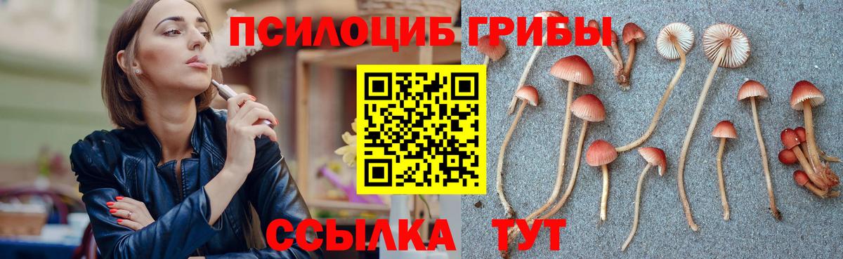 Галлюциногенные грибы Psilocybine cubensis  Вход с VPN  Псилоцибиновые грибы прущие грибы  Тавда 
