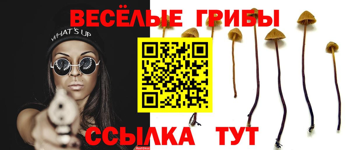 Галлюциногенные грибы Psilocybe Тавда
