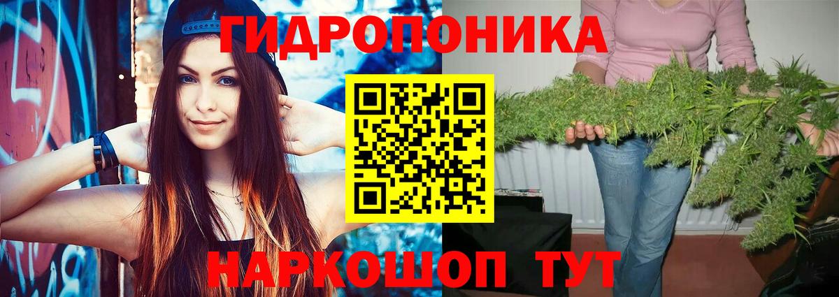 Бошки марихуана Bruce Banner  Каннабис тримм  Вход с VPN  Тавда  МАРИХУАНА THC 21% 